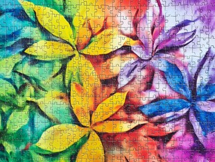 彩色花卉拼图艺术画面