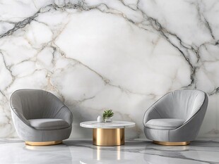 大理石墙边的优雅沙发组合