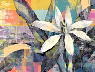 抽象花卉艺术插画