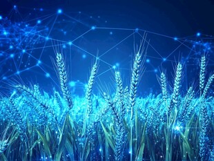 科技感麦田 未来农业图景