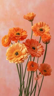 橙色洋牡丹插花的美丽瞬间