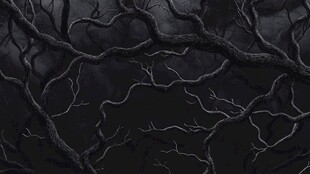 黑暗中扭曲蔓延的枯树枝