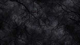 黑暗枯树枝背景纹理图