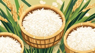 木盆盛白米 稻穗伴身旁