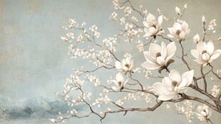 玉兰花枝绽放淡雅美景