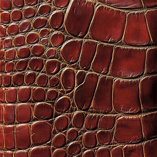 复古棕鳄鱼皮纹理特写