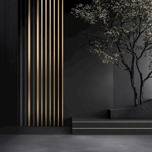 黑金极简风室内景观一隅