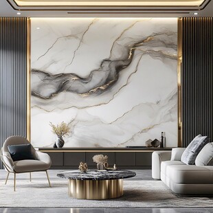 奢华大理石背景墙客厅空间