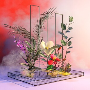 金属框架中的梦幻植物组合