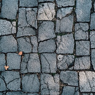 石板路面纹理与落叶景象