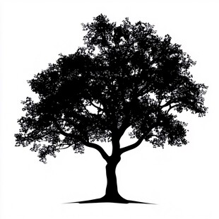 树的黑色剪影