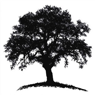 孤独大树剪影