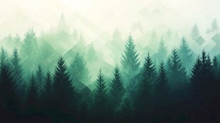 梦幻迷雾森林背景图