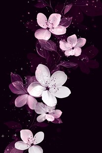 梦幻紫花绽放于暗夜