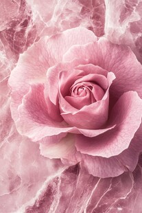 粉色玫瑰大理石背景图案