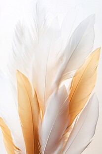 梦幻白黄羽毛特写