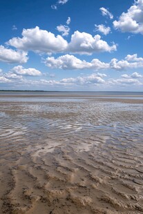 蓝天碧海下的滩涂美景