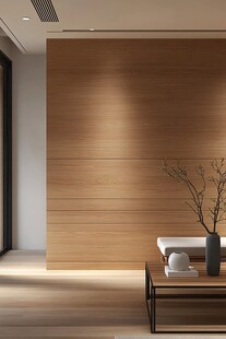 简约木质墙面室内装饰场景