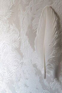 白色羽毛置于纹理背景上