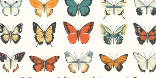 多彩蝴蝶图案设计素材