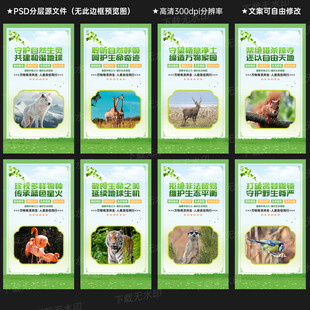 保护野生动物