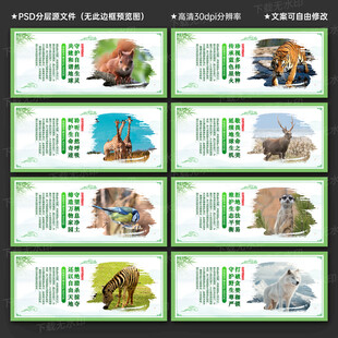 保护野生动物