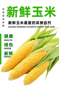 玉米