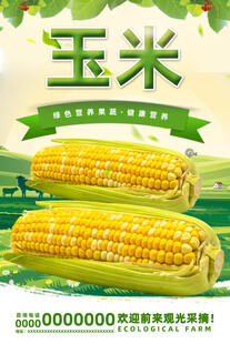 玉米