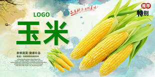 玉米