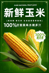 玉米