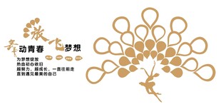 校园舞蹈功能室照片墙