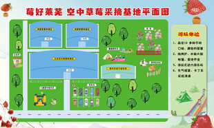 草莓采摘