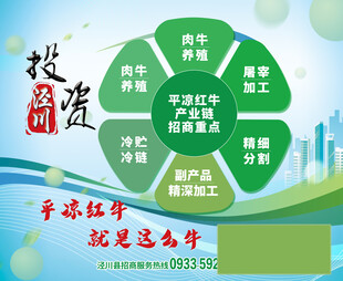 招商 投资 
