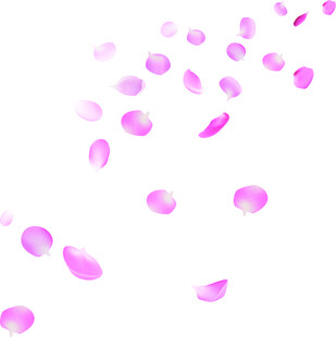 花瓣