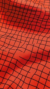 红色网格纹理布料特写