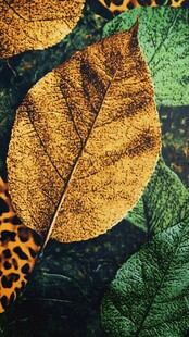 金色绿叶与豹纹艺术图案