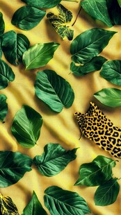 黄色背景上的绿叶与豹纹鞋
