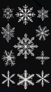 多样精美雪花图案展示