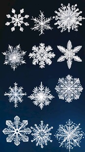 精美多样雪花图案集合