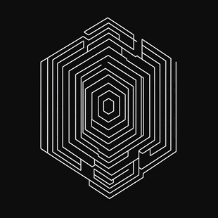 黑白六边形线条几何图案
