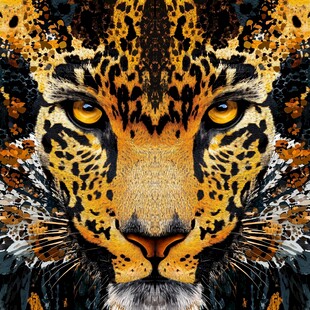 霸气豹头 艺术风格野生动物