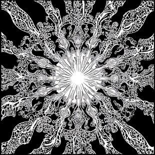 黑白对称花纹艺术图案