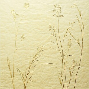 干花标本装饰图