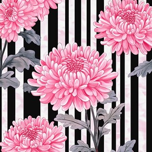 黑白条纹背景上的粉色菊花