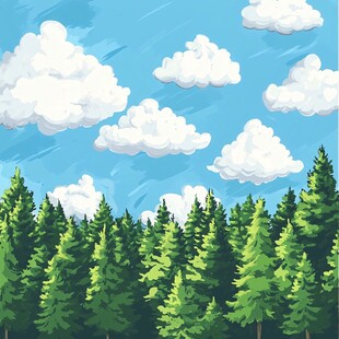 蓝天白云下的茂密松树林