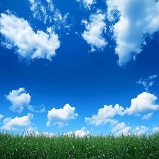 蓝天绿草间的清新自然