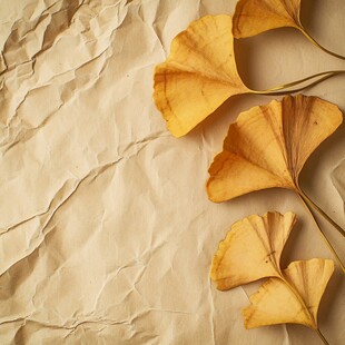 银杏叶置于褶皱纸张上