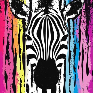 彩色斑马头艺术图案