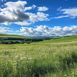 广阔草原上的蓝天白云
