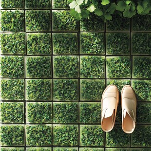 草地上的简约米色休闲鞋